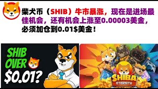 柴犬币（SHIB）牛市暴涨，现在是进场最佳机会，还有机会上涨至0.00003美金，必须加仓到0.01$美金！shib币|柴犬币|屎币行情分析！