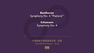 舒曼：D小调第四交响曲：第四乐章 · 缓慢的 · 活泼的（Schumann: Symphony...