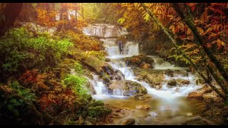 RELAXATION NAC HYMNS with Nature View  720p