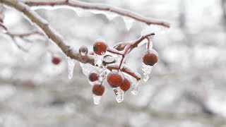 This Sunday Fort Wayne’s Winter Contingency plan goes into effect which means shelters will expan...