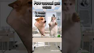 Pov: типичный урок физики😂 | https://t.me/ServerDemonAPTEMKA11 #shorts #memes #cats #мем