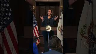 VP Kamala Harris rips the Biden classified documents report as “politically motivated, gratuitous”