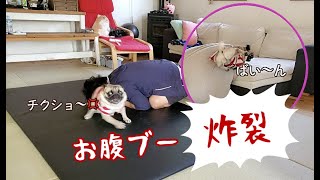 お腹ブー炸裂!! 笑いすぎて腹痛くなるの覚悟!!過去最大級に笑えるよww