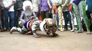 kallegatigers fabulous dance of tigers in dasara