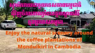 22​ Coffee Tour Mondulkiri Province, Cambodia