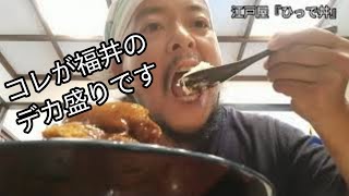 福井のデカ盛りはこれだ！！《江戸屋、越前市、ひっで丼》