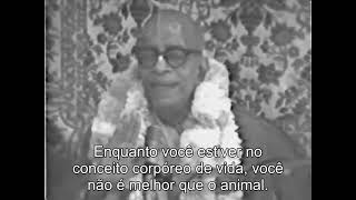 Prabhupada 0971 Enquanto você estiver no conceito de vida corporal, você não é melhor que um animal