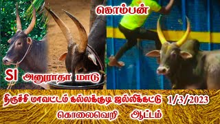 SI அனுராதா மாடு || திருச்சி கல்லக்குடி ஜல்லிக்கட்டு  || 1/3/2023