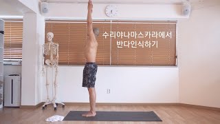 수리야나마스카라에서 반다인식하기 - 아쉬탕가 미니워크샵