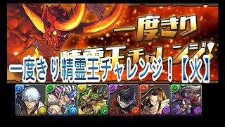 『パズドラ』一度きり精霊王チャレンジ！【火】｜【BlueDragon】