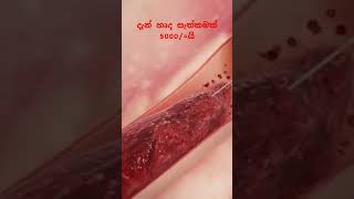 අලුත්ම සොයා ගැනීමක්. හෘද සැත්කමක් සඳහා රුපියල් 5000/= #heart #love #india # #predictions #dhanush