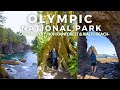 24 Hours in Olympic National Park: Cape Flattery, Hoh Rainforest, & Rialto Beach