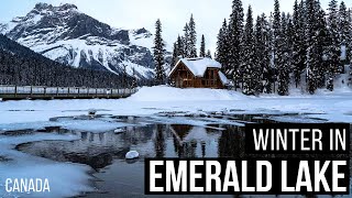 Emerald Lake Lodge in Winter - You HAVE to see this place... WOW!