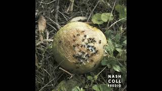 Nash Coll - Predio (2015) Full album