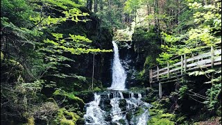 Fundy National Park of Canada at Alma, New Brunswick