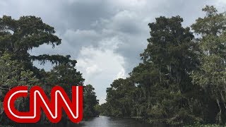 Louisiana dealing with a land-loss crisis