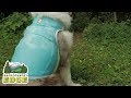 Ruff Wear Jet Stream Dog Cooling Vest