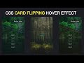 Card Hover Effect | 3D Flip Card Effect on Hover using HTML & CSS