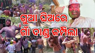 ଗୁଆ ଘିଅରେ ବାୟା👯 holi celebration in odisha| holi |village holi masti video|village holi dance video