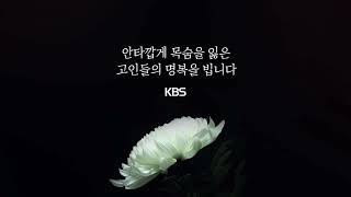 안타깝게 목숨을 잃은 고인들의 명복을 빕니다