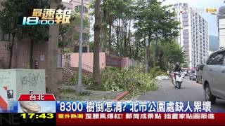 「8300」樹倒怎清？　北市公園處缺人累壞