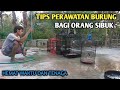 Tips merawat burung bagi orang sibuk | Burung banyak ngak masalah