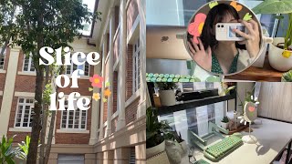 Slice of life: 🍰🌷Spend a productive 48 hours with me, waking up at 6am, club party 🪴