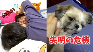 失明の危機・・・ヤンチャ坊主の育児って大変＞＜ Vlog