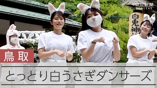 とっとり白うさぎダンサーズ　ウサギにゆかりの深い県をPR