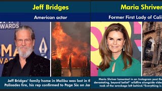 68 CELEBRITIES That Lost Million Dollar HOMES in Los Angeles Fire Incident 🔥