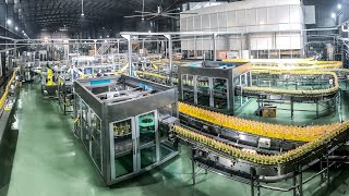 Complete Edible oil line at B.L. Agro, India | Sidel