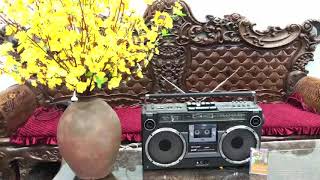 sharp GF-303SB ngày xuân