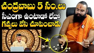 Gavva Sastra Krishnamacharya About Chandrababu Future In AP Politics | Pawan Kalyan | NewsQube