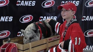 Hamilton the Pig poses for pictures with Hurricanes fans prior to Game 6