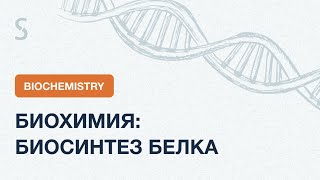 USMLE Step 1 - Биосинтез белка EXPLAINED