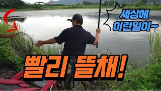 붕어~ 이렇게 잡을수도 있구나! 흥분하지 말자!