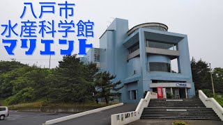 青森県八戸市【八戸市水産科学館マリエント】へ行ってきました🐠🐟️。