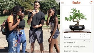 Students At 'Ecosexual' School Swipe On Tree Tinder Profiles