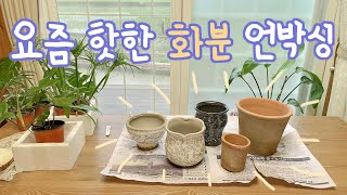 예쁜 화분\u0026토분 추천ㅣ마인드비 화분, 지앤숍 토분, 필로덴드론 플로리다 그린 언박싱ㅣ[식집사 일기]