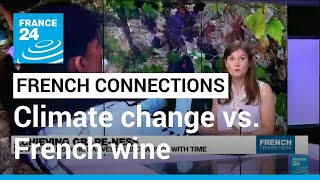Achieving grape-ness: How France’s wine harvest has changed with time • FRANCE 24 English