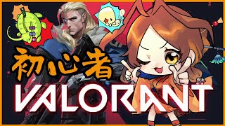 【VALORANT】初心者ランク（アイアン3）　目指せブロンズよわよわアリさん🐜【姫蟻エイル/Vtuber】