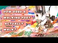 How does a walking foot walk?