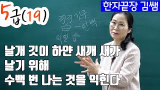 #25. 5급(19) 진흥회 선정한자 省性孫習李毛米病步席 (성심손습리모미병보석)