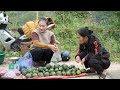 harvesting young squash to sell at the market making delicious stir fried pork offal ly thi tam