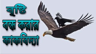 বৃষ্টি বন্ধ করা || brishti bandho kora || কাকবিদ্যা || 100% কাজ ||