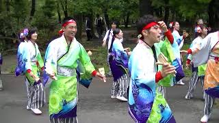 夢源風人　　20180909　こいや祭り　記念樹の森パレード　エビバディこいや