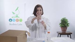 DNA Extraction- from your own cheek cells!