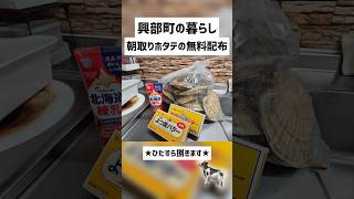 【興部町の暮らし】北海道移住4年目。ホタテ捌き動画。 #shorts