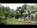 Dimi's Exotic Garden 16/07/2023 @ Belgium (filmed by 'Tropical Gardening')