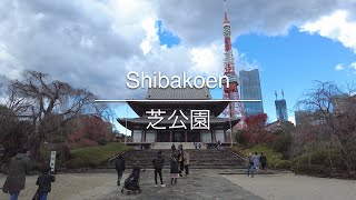 [4K] Shibakoen 芝公園 [Tokyo 東京] [Walk 散歩] #470